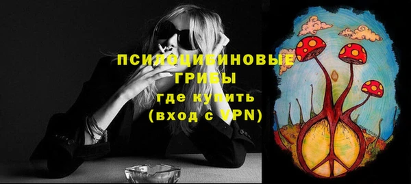 стафф Нязепетровск