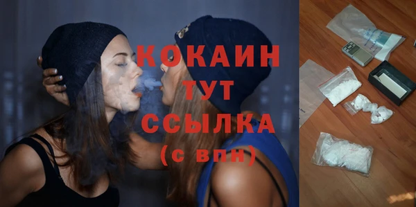 молекула духа Нягань