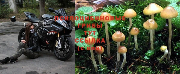 стафф Нязепетровск
