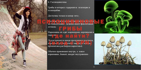 молекула духа Нягань