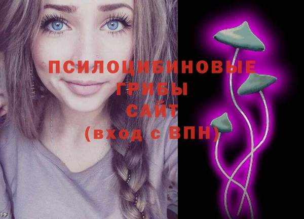 стафф Нязепетровск