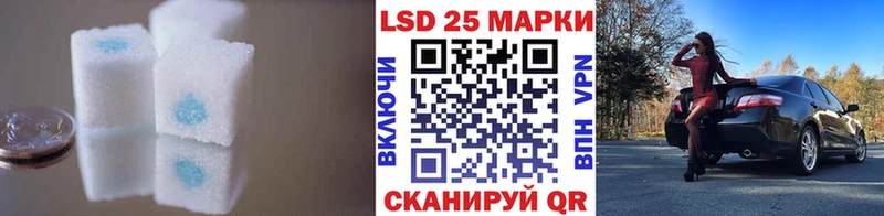 ссылка на мегу зеркало  наркотики  Сальск  Лсд 25 экстази кислота 
